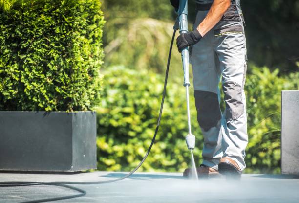 Best Pool Deck Cleaning  in , IA